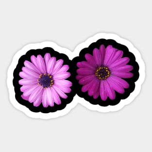 Purple flowers Sticker